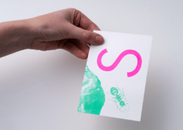 Studio Fenna Schaap